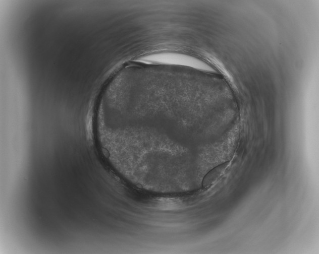 X0000101090154200807241015