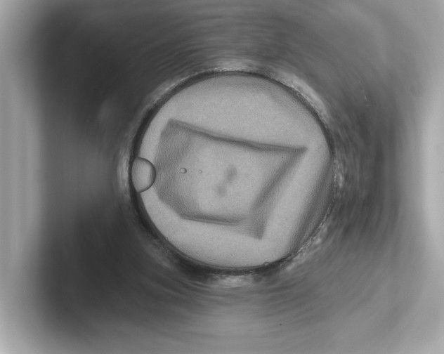 X0000101090155200807241015
