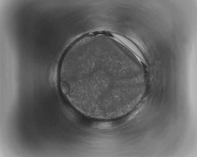 X0000101090156200807241015