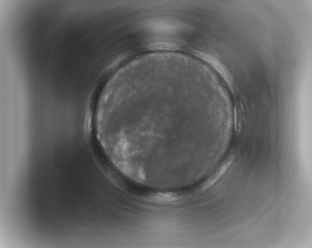 X0000101090157200807241015