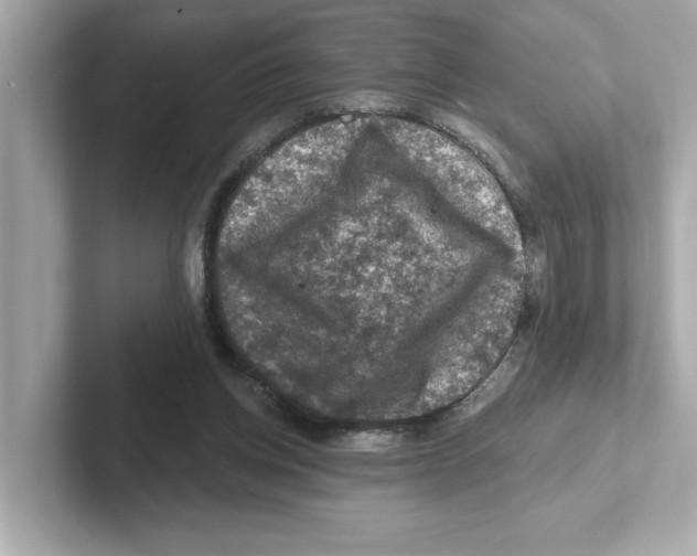 X0000101090158200807241015