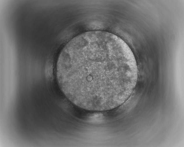 X0000101090162200807241015