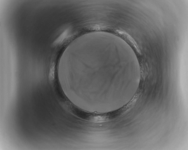 X0000101090163200807241015