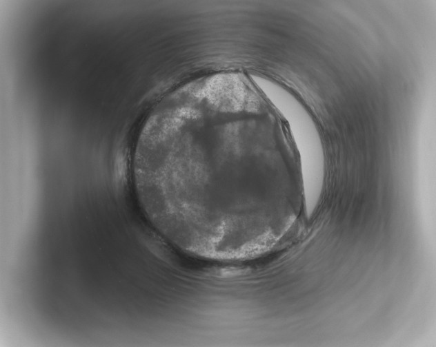 X0000101090165200807241015
