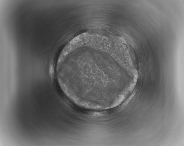 X0000101090166200807241015