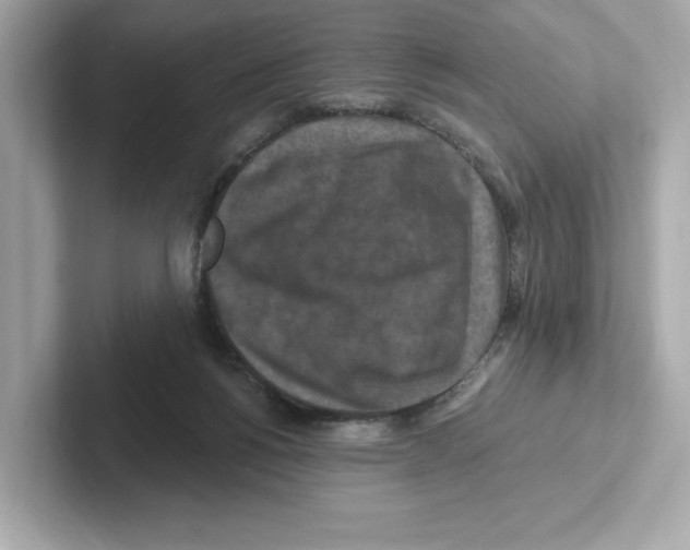 X0000101090168200807241015