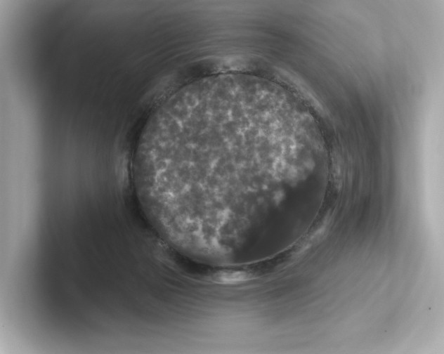 X0000101090169200807241015