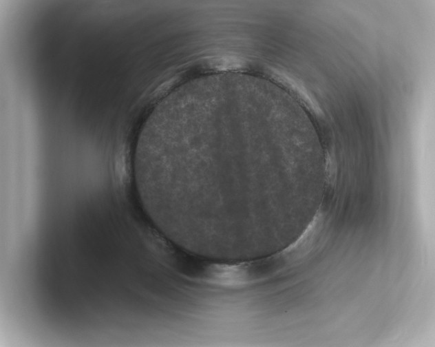X0000101090170200807241015