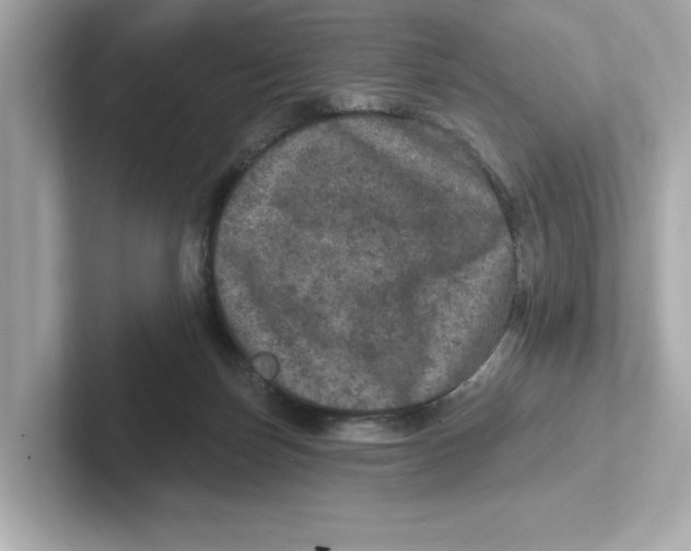 X0000101090171200807241015