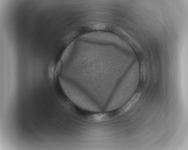 X0000101090172200807241015