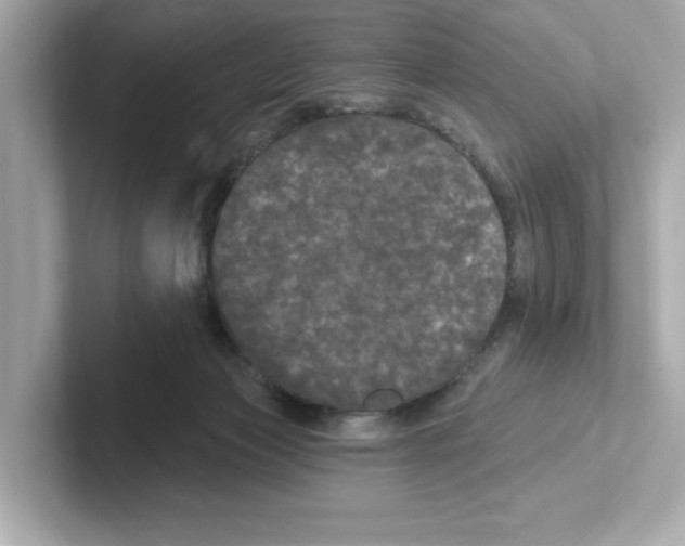 X0000101090173200807241015