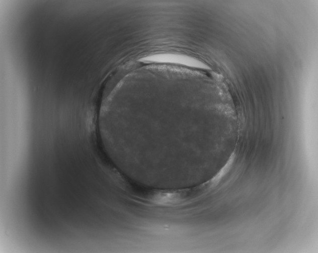 X0000101090174200807241015
