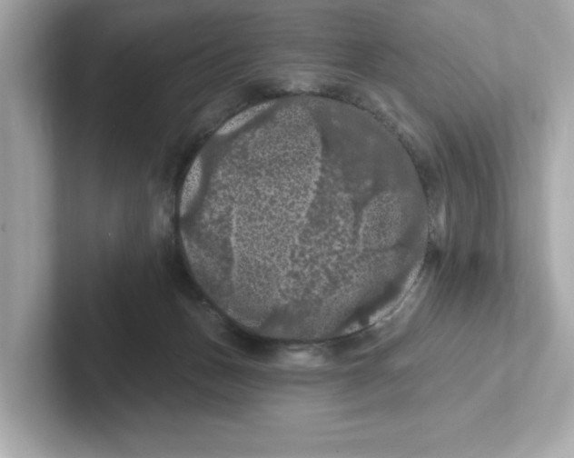 X0000101090175200807241015