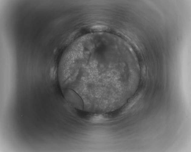 X0000101090177200807241015