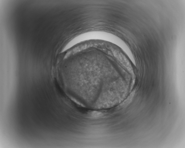X0000101090180200807241015