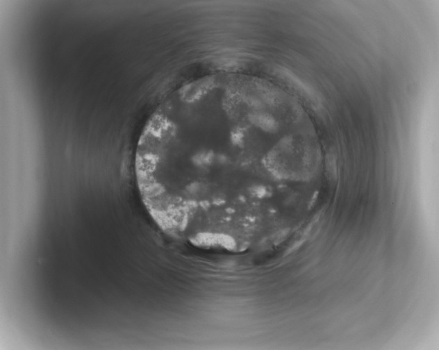 X0000101090181200807241015