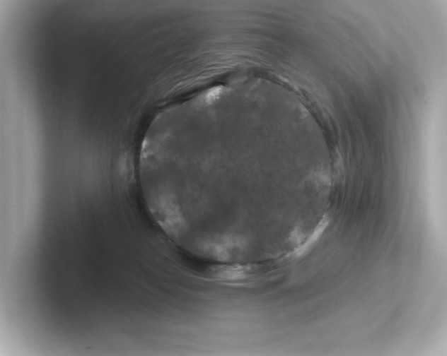 X0000101090182200807241015