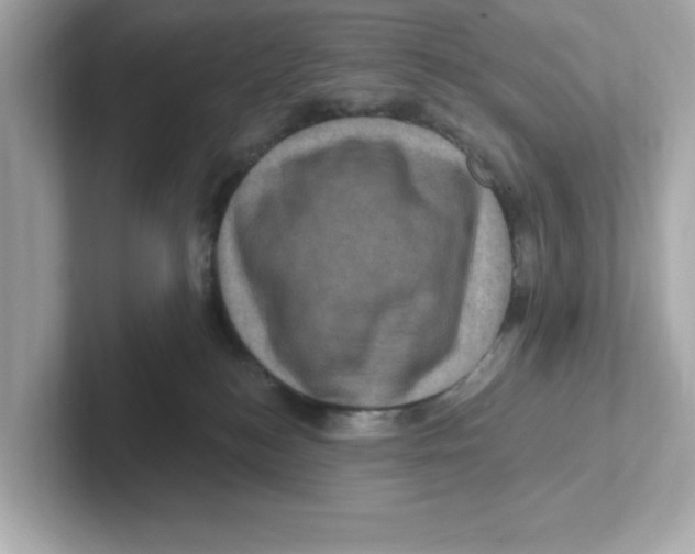X0000101090184200807241015