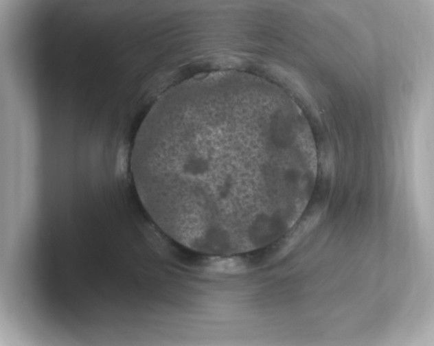 X0000101090185200807241015