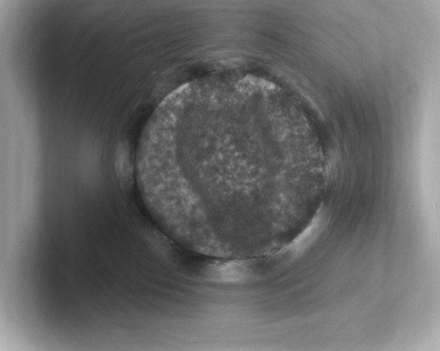 X0000101090186200807241015