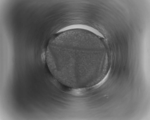 X0000101090190200807241015