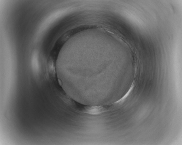 X0000101090191200807241015
