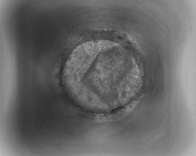 X0000101090192200807241015
