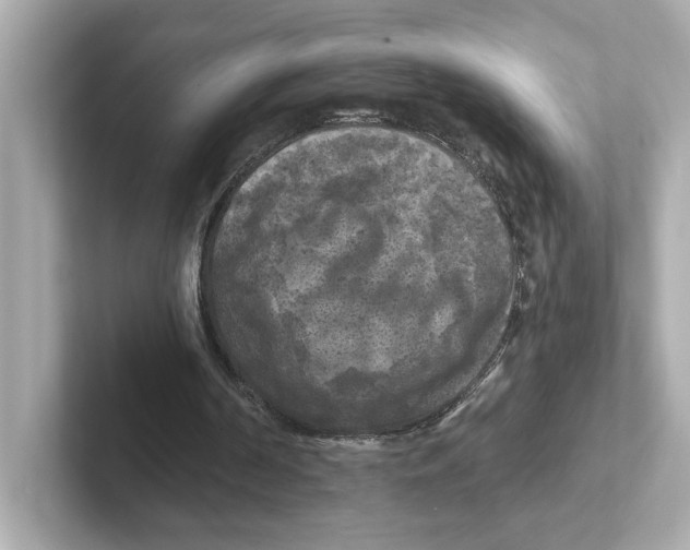 X0000101090194200807241015