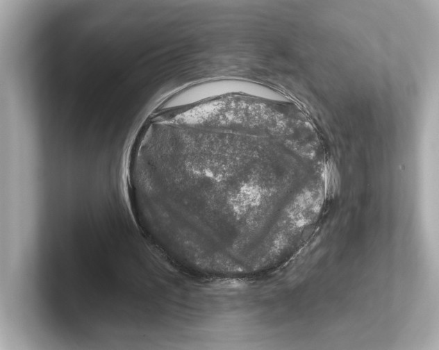 X0000101090195200807241015