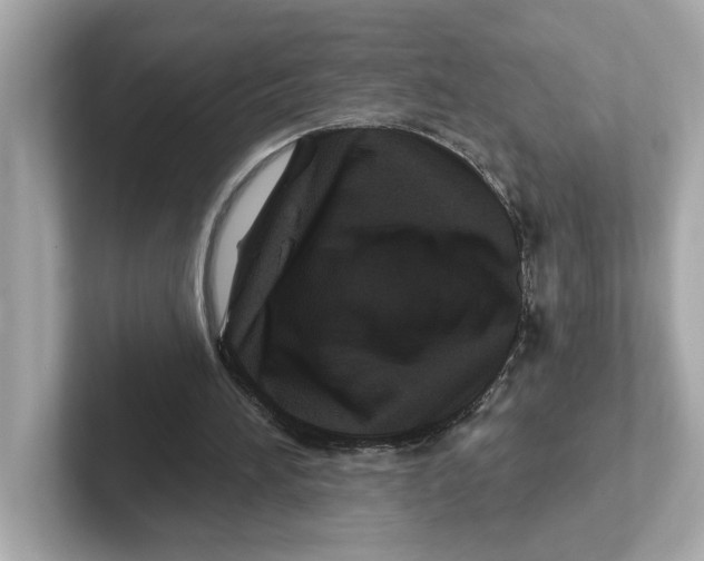 X0000101090196200807241014