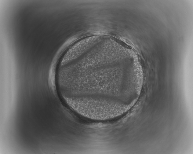 X0000101090197200807241014