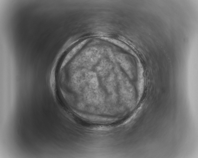 X0000101090198200807241014