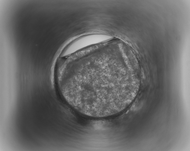 X0000101090200200807241014