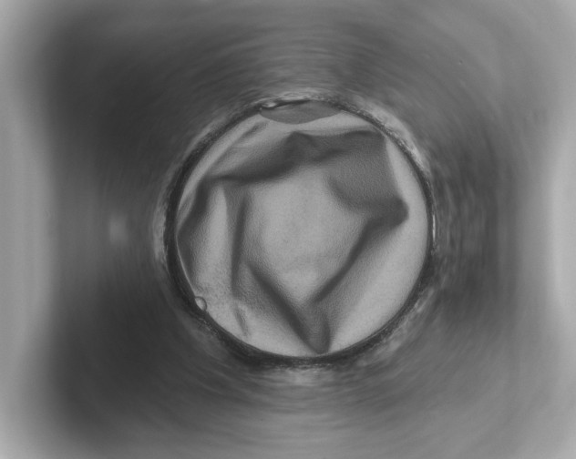 X0000101090201200807241014