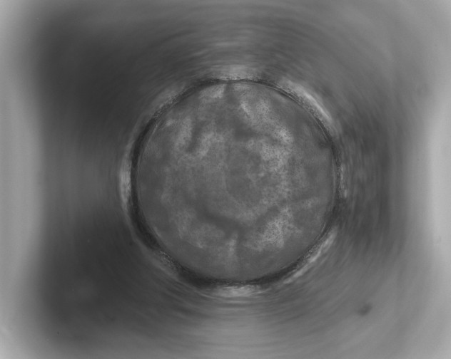 X0000101090202200807241014