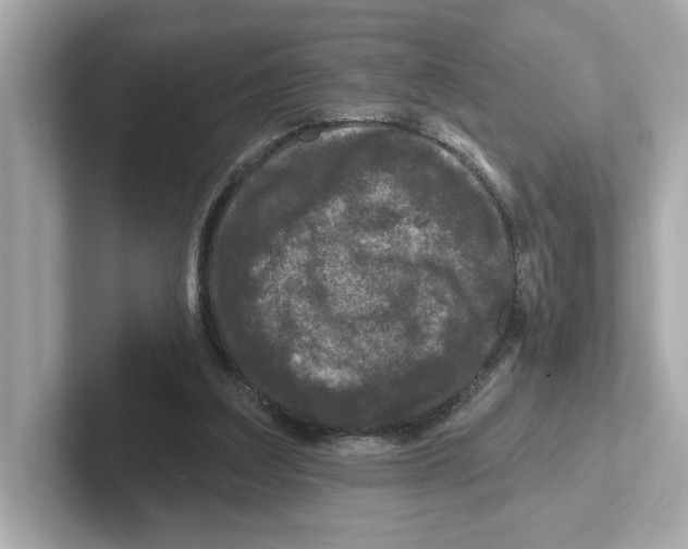 X0000101090203200807241014