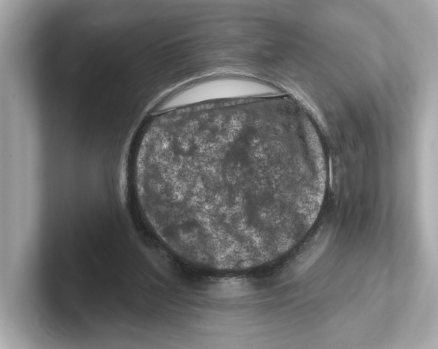 X0000101090204200807241014