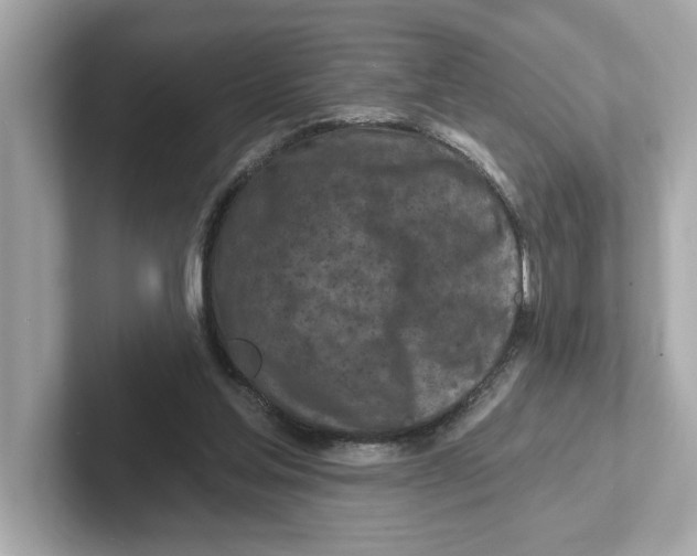 X0000101090205200807241014