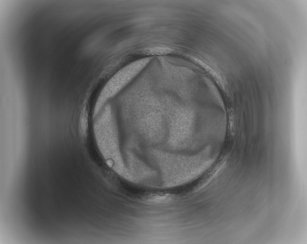 X0000101090206200807241014