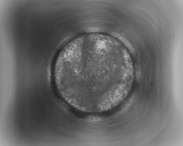 X0000101090207200807241014