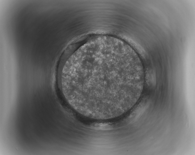 X0000101090208200807241014