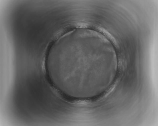 X0000101090209200807241014