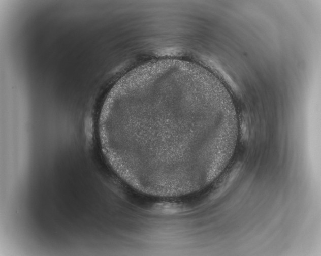 X0000101090211200807241014