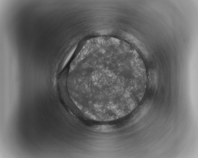 X0000101090212200807241014