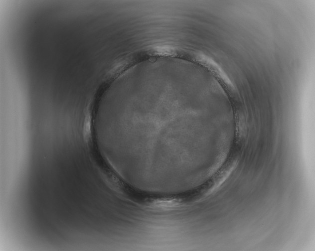 X0000101090213200807241014