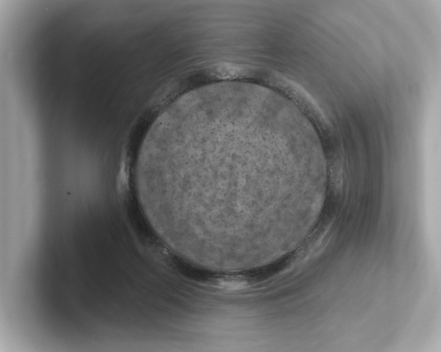 X0000101090214200807241014