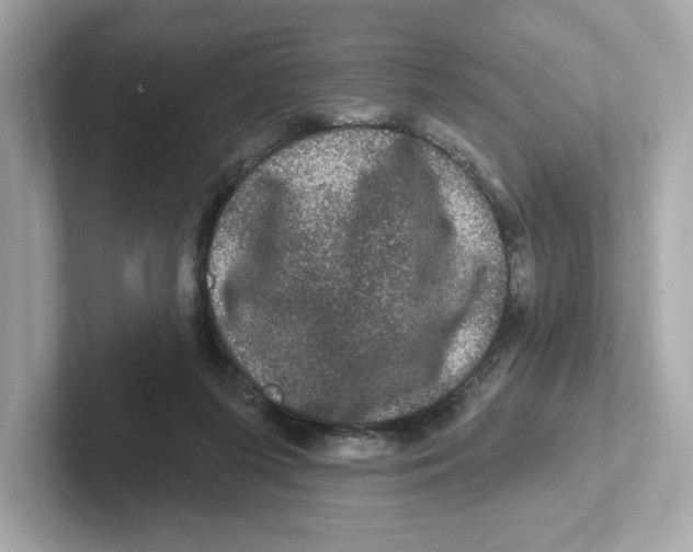 X0000101090215200807241014