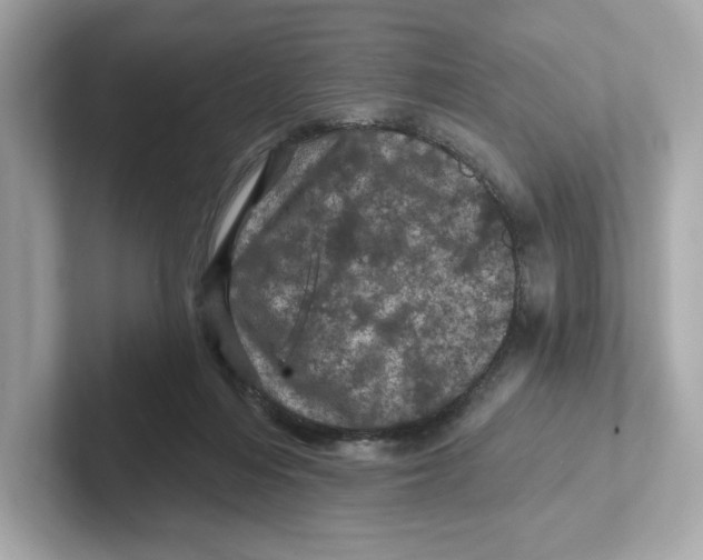 X0000101090216200807241014