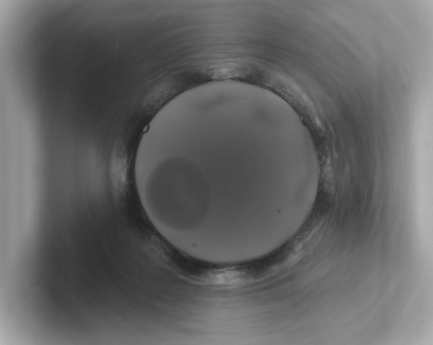 X0000101090219200807241014