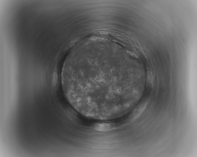 X0000101090220200807241014